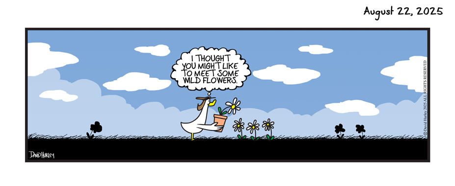 Wild Flower (08222025)