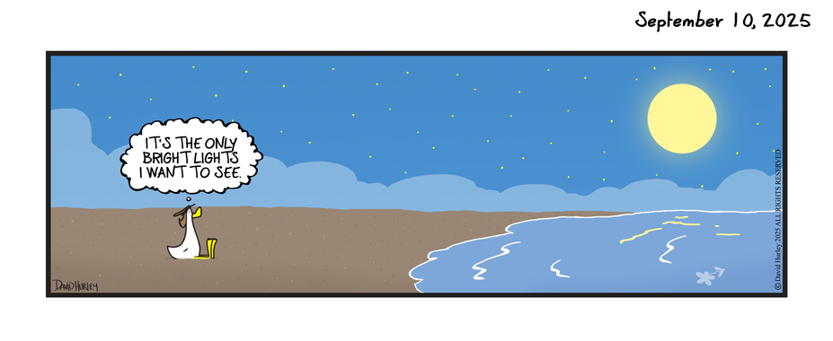 Seeing Lights (09102025)