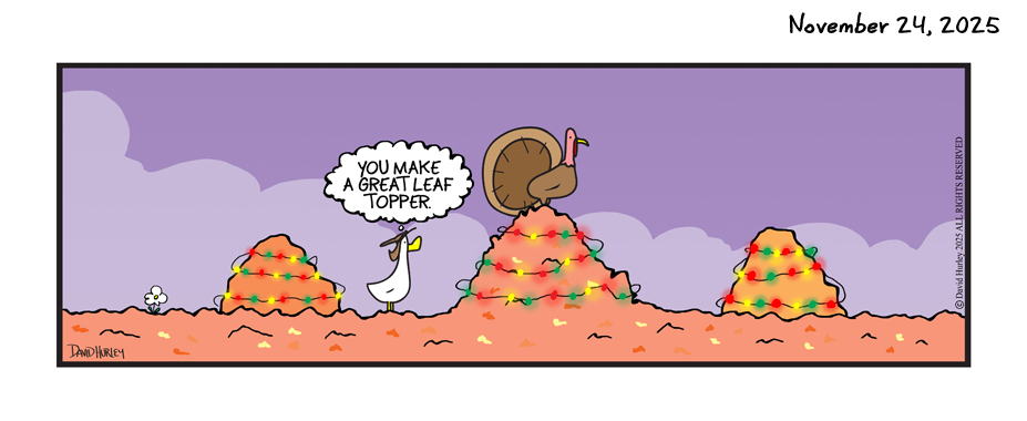 Lighting The Leaves (11242025)