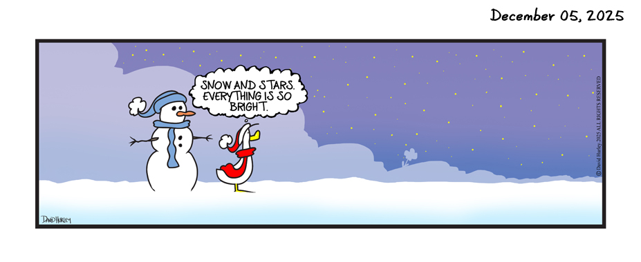 Snow And Stars (12052025)