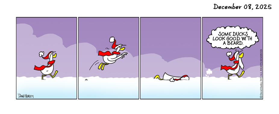 The Beard (12082025)