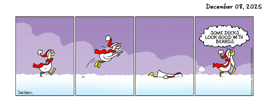 The Beard (12082025)