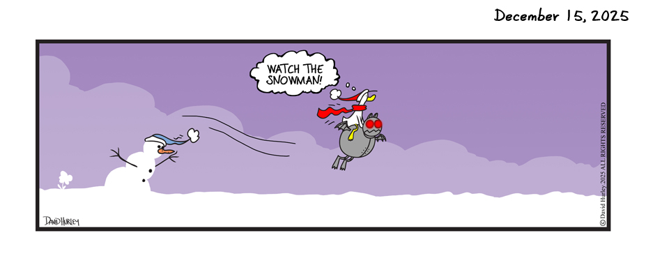 The Fly By (12152025)