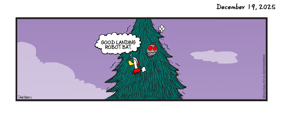 The Landing (12192025)