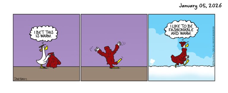 The Sweater (01052026)