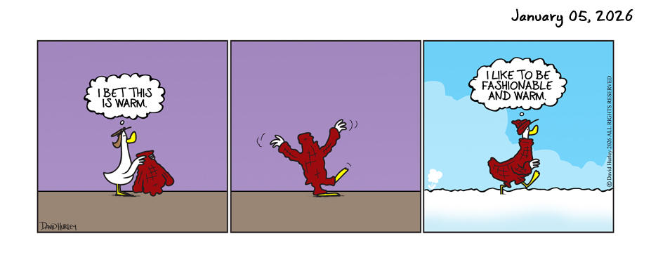 The Sweater (01052026)