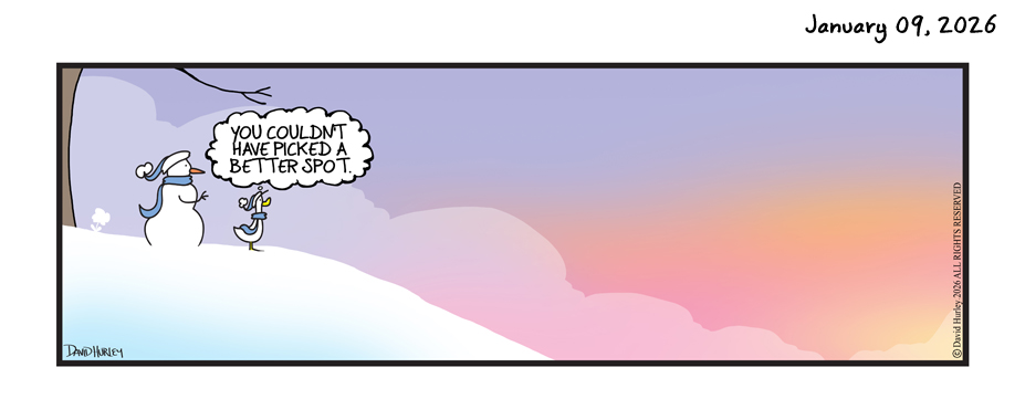 Perfect Spot (01092026)