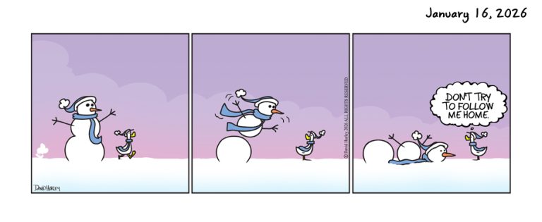 The Follow (01162026)