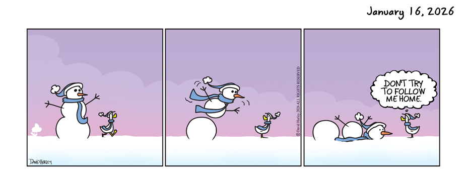 The Follow (01162026)