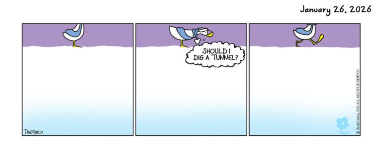 Top of the Panel (01262026)