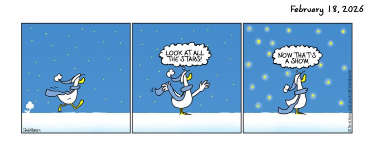 Starry Show (02182026)