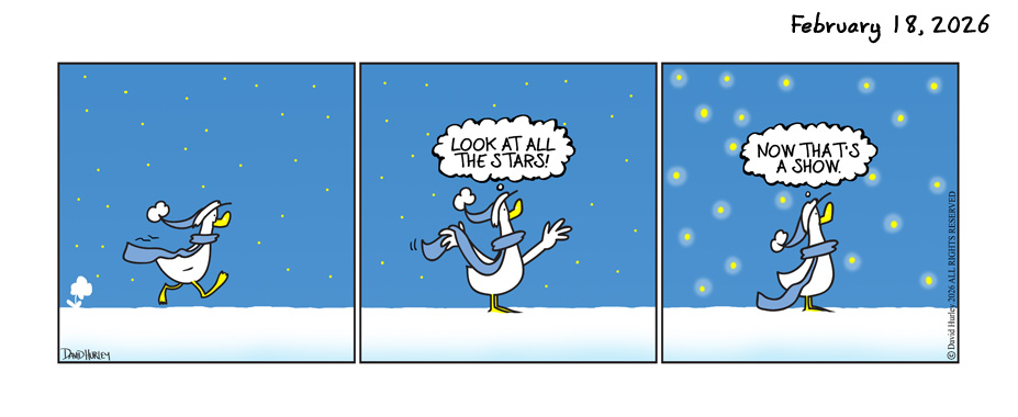 Starry Show (02182026)