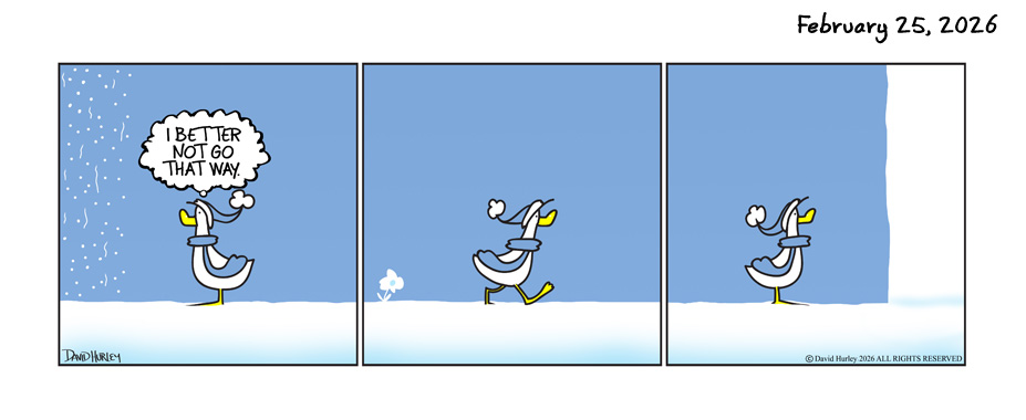 A lot of Snow (02252026)