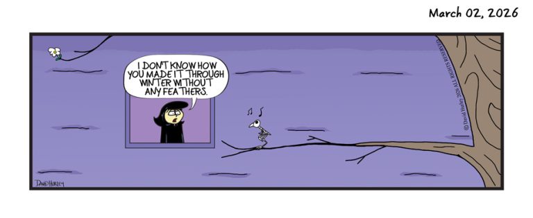 Winter Feathers (03022026)