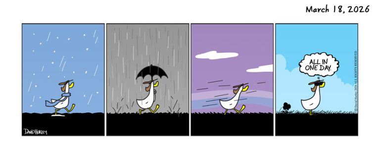 All In One Day (03182026)