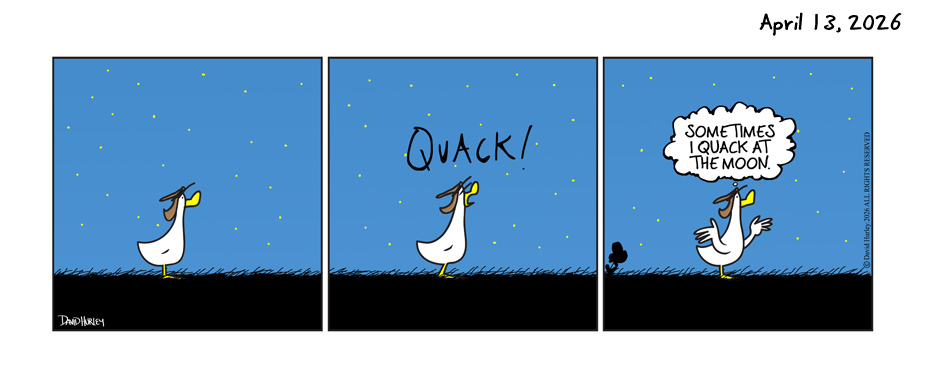 Moon Quack (04132026)