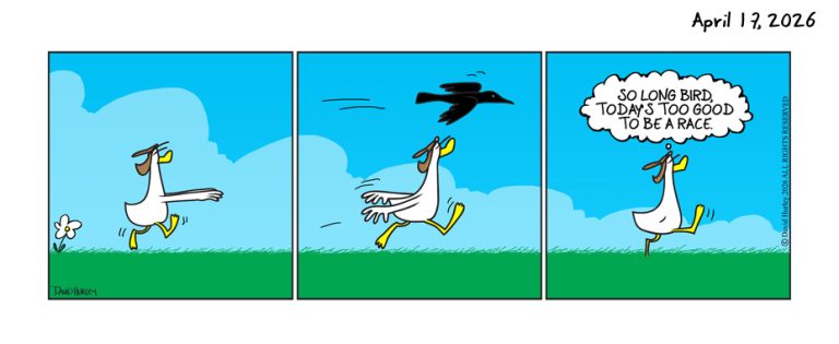 No Day To Race (04172026)