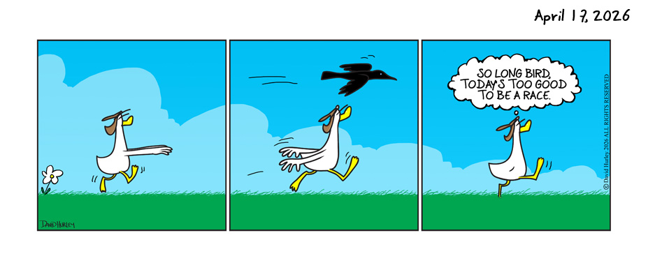 No Day To Race (04172026)