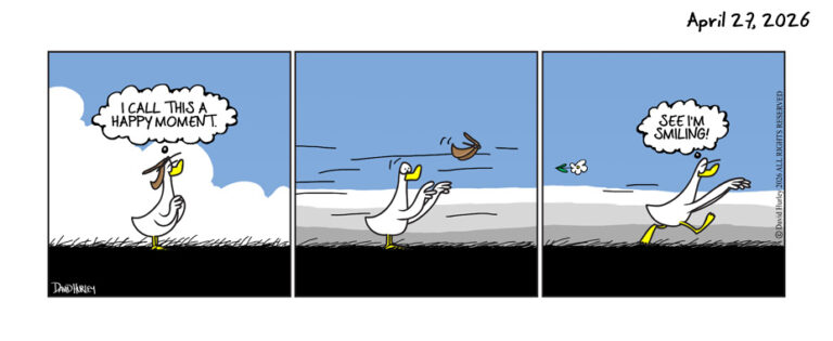 The Winds (04272026)