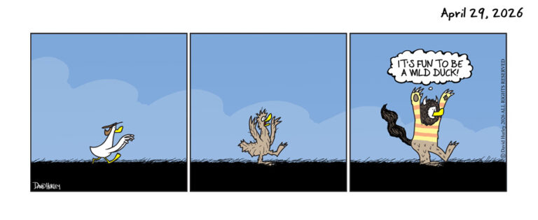 Duck Thing (04292026)