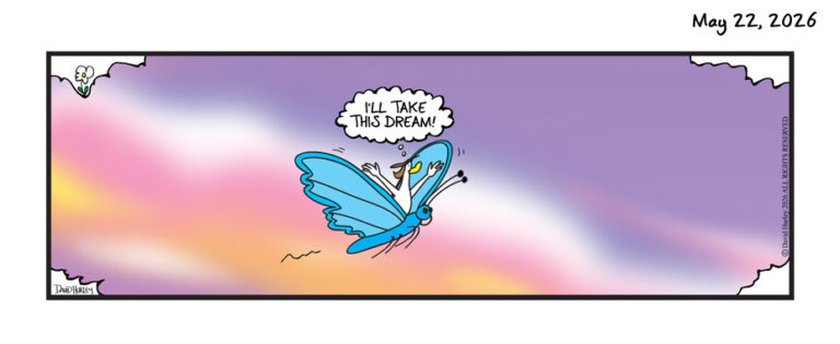 Butterfly Dream (05222023)