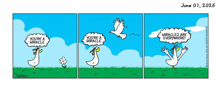 The Miracle (06012026)