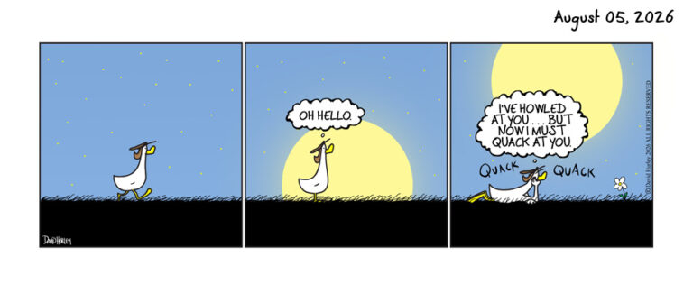 Quack At The Moon (08052026)