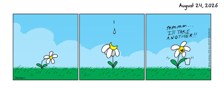 One Drop (08242026)